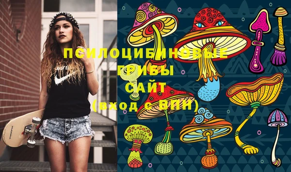 хмурый Балабаново